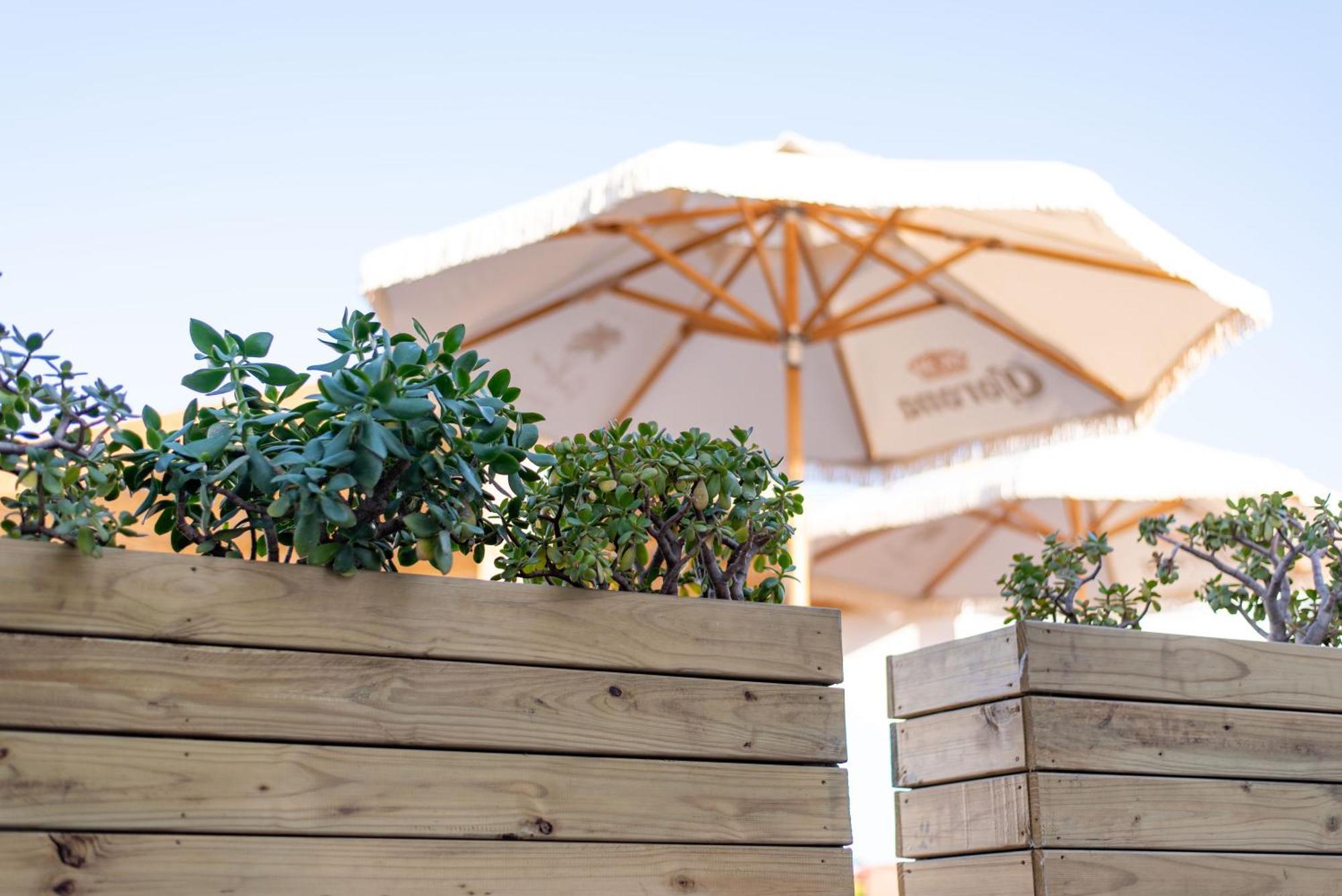 The Ivory Haus Hotel Plettenberg Bay Ngoại thất bức ảnh